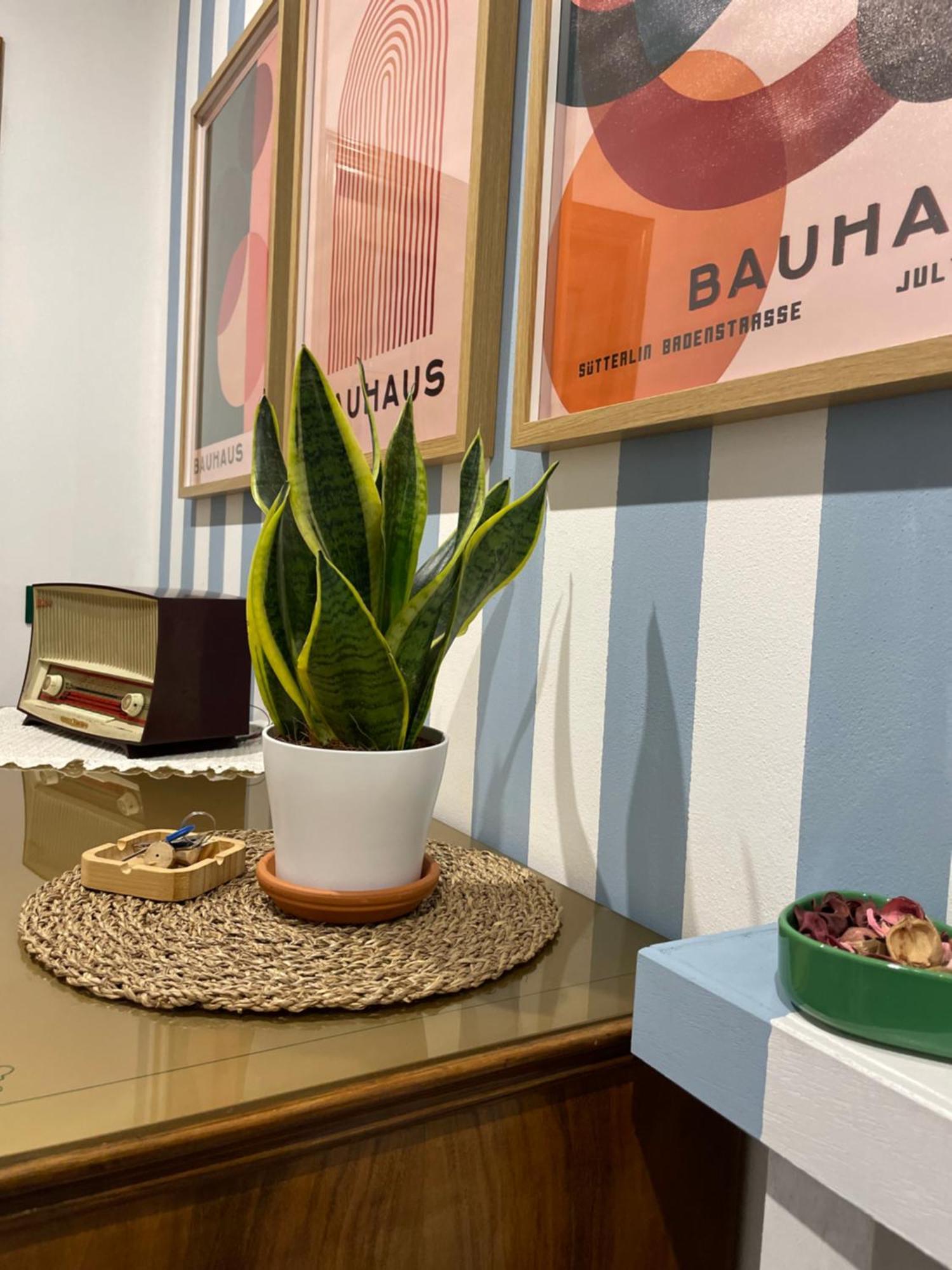 Momi Apartment Chiappa  Luaran gambar